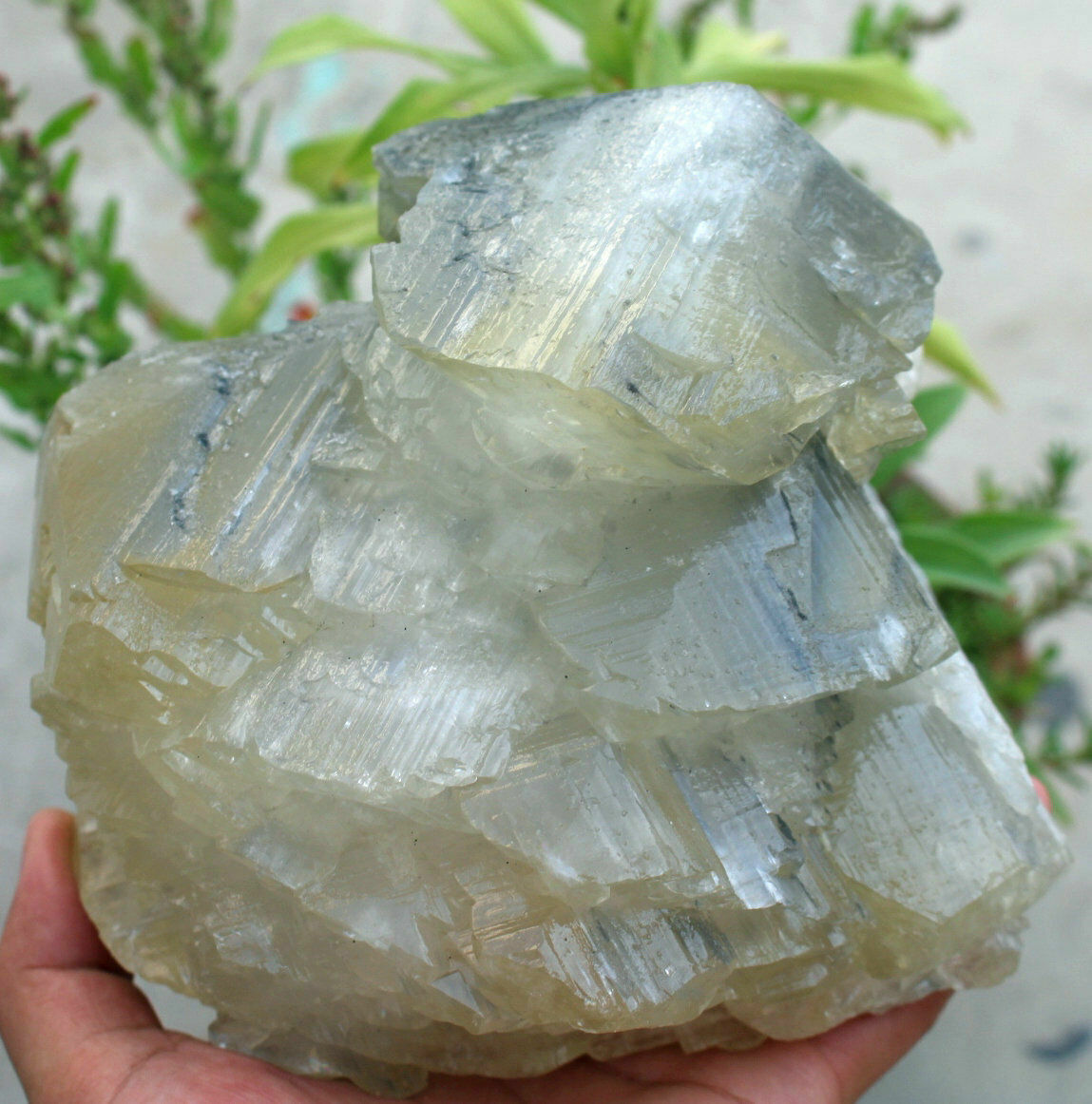 6.6lb New find Natural yellow Calcite Crystal cluster mineral specimen / China
