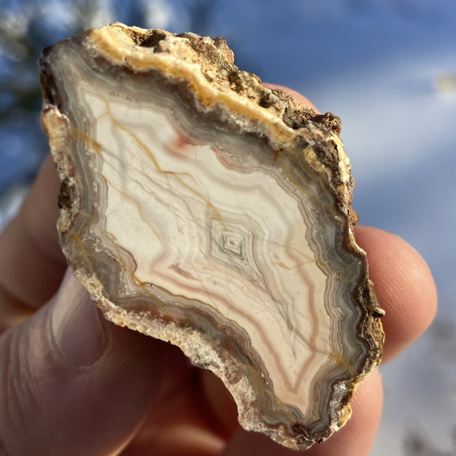 Gorgeous Banded Moroccan Agate Collector Specimen 51 Oz