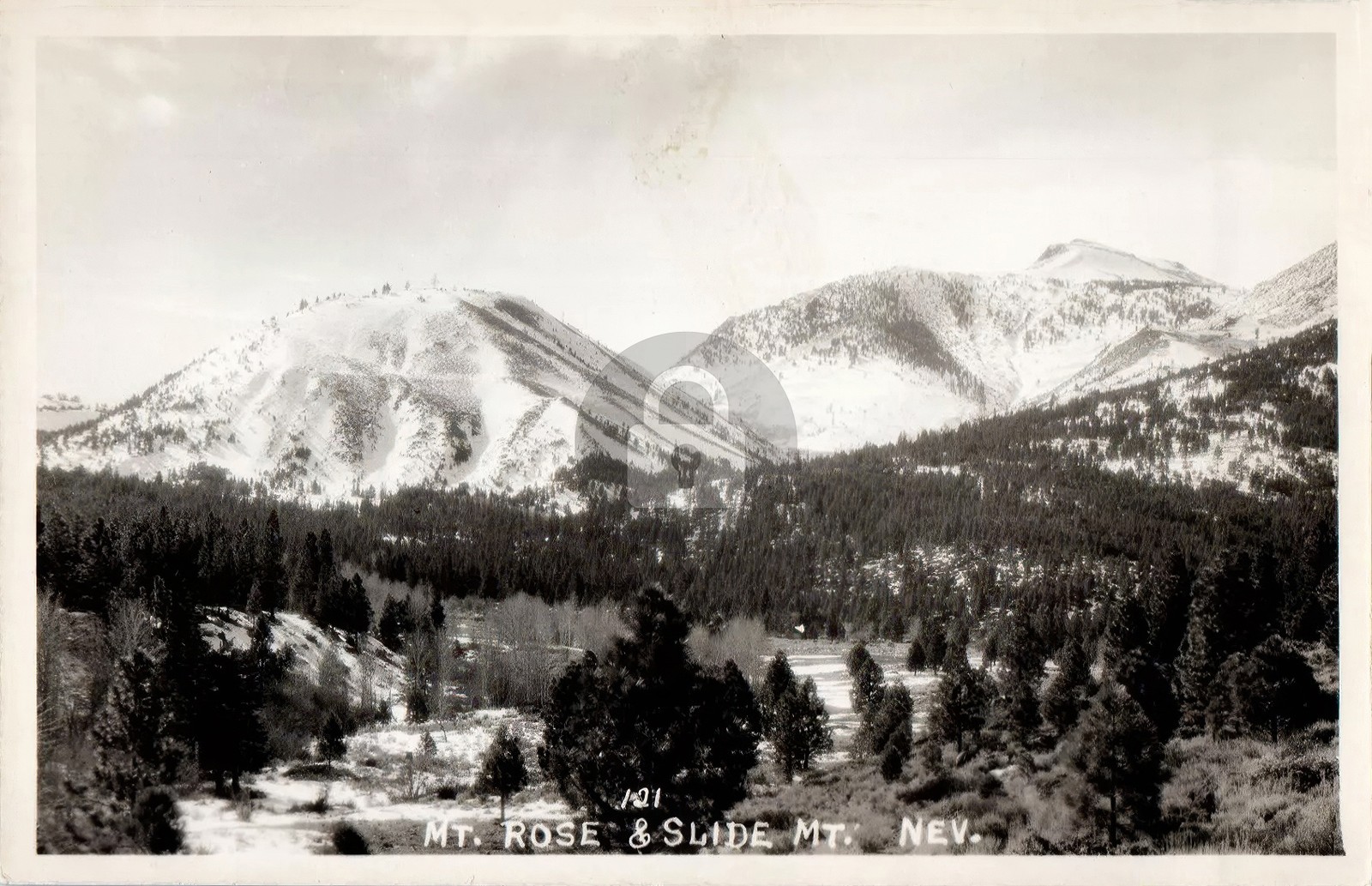 c1950's View of Mt. Rose & Slide Mountain Nevada NV RPPC Photo Postcard COPY
