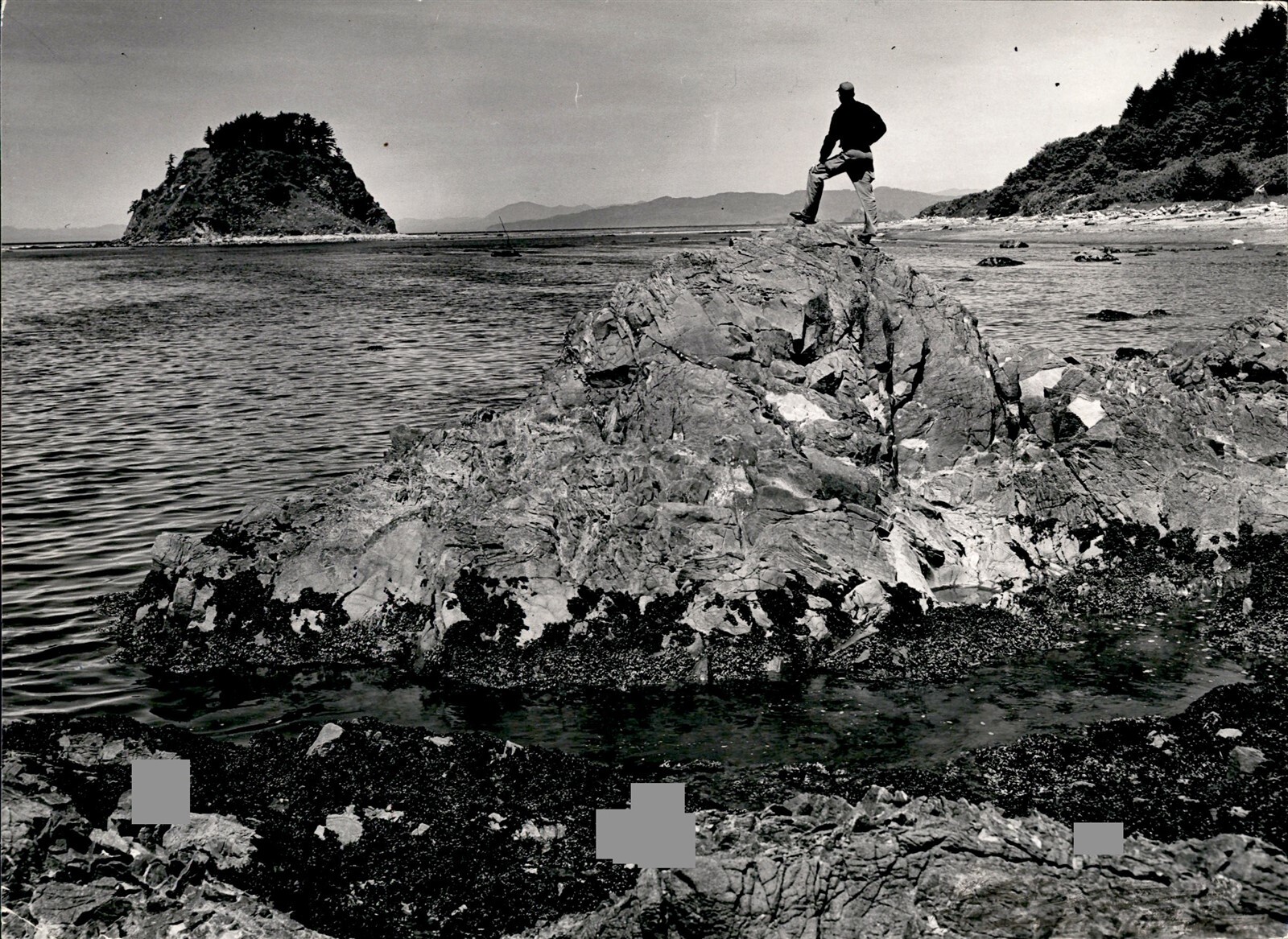LD374 1954 Original Photo TRAIL\'S END @ CAPE ALAVA BEACH WASHINGTON COASTLINE LD374 1954 Original Photo TRAIL\'S END @ CAPE ALAVA BEACH WASHINGTON COASTLINE