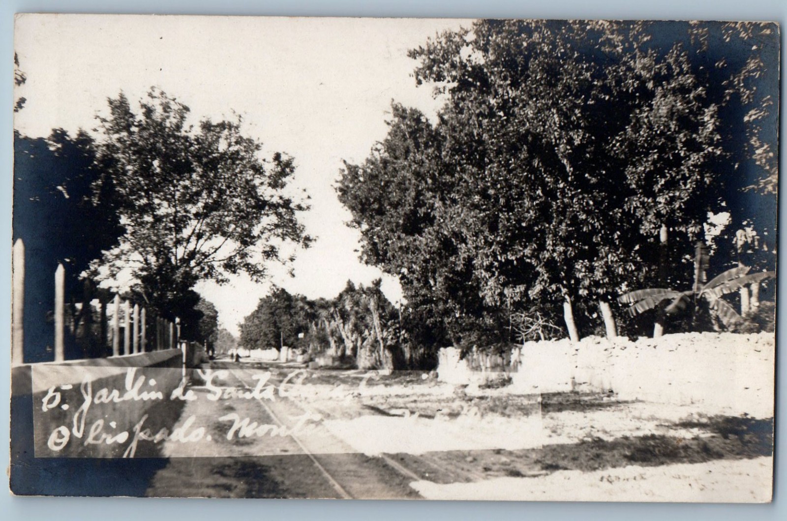 Monterrey Mexico Postcard Bisphoric and Garden View c1905 Antique RPPC Photo