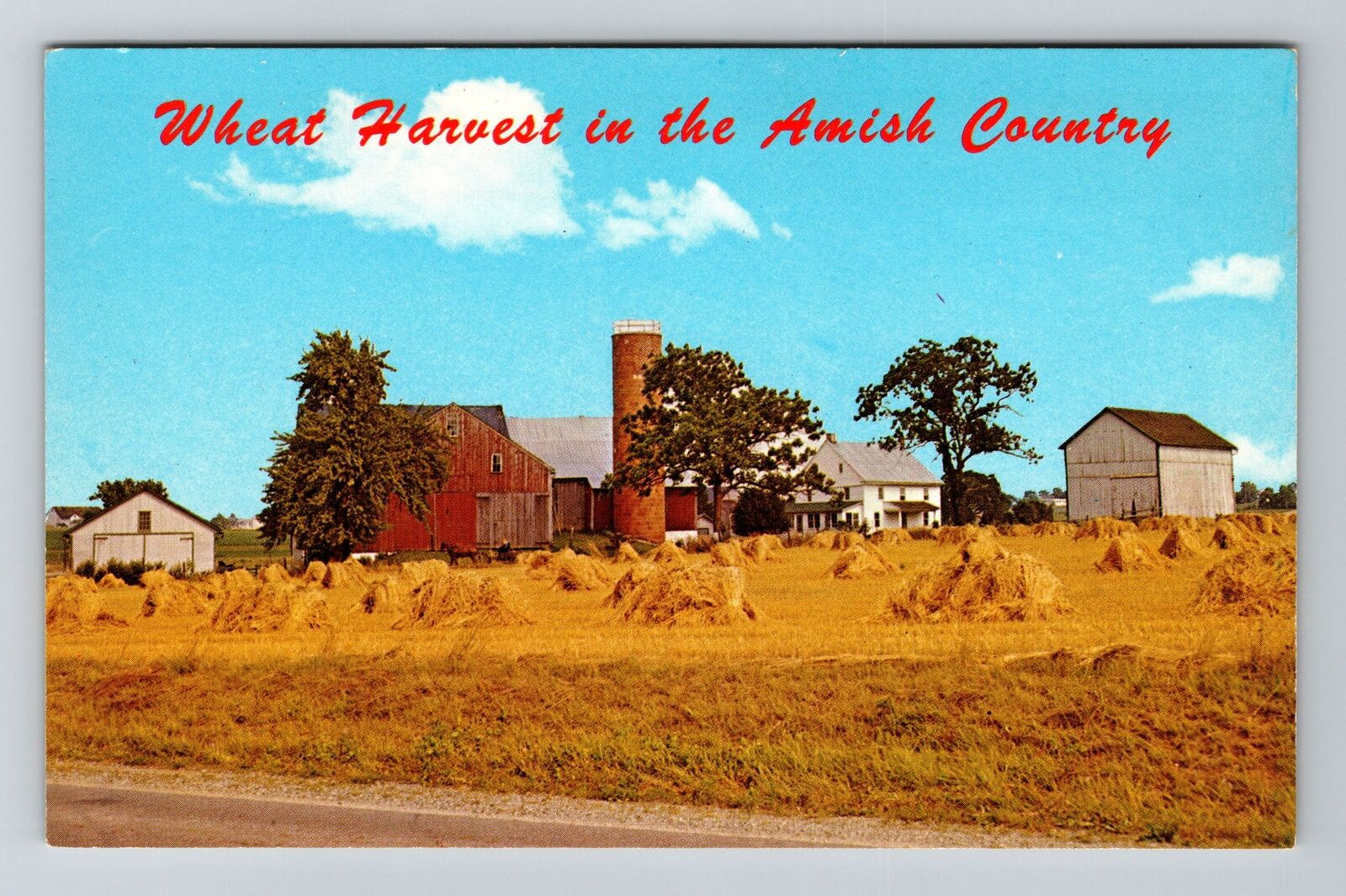 PA-Pennsylvania Amish Country Wheat Harvest Typical Farm Vintage Postcard
