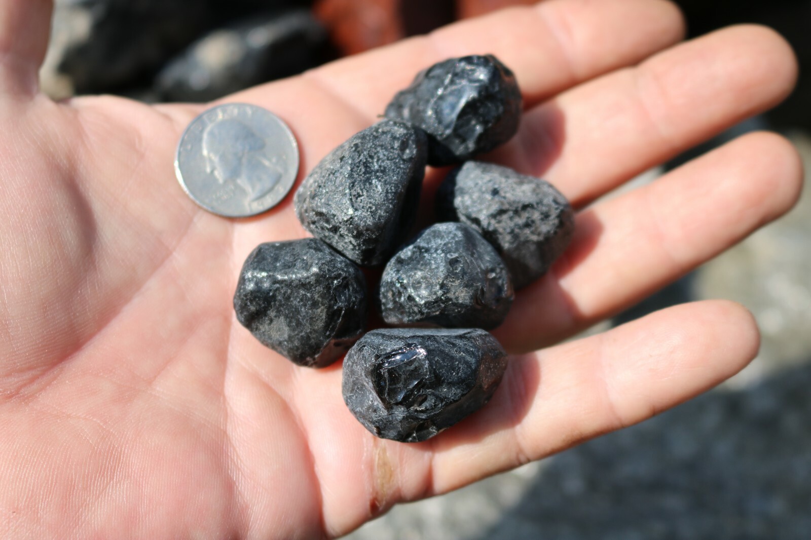 6 Large Apache Tears Natural Obsidian Healing Stone US Seller 