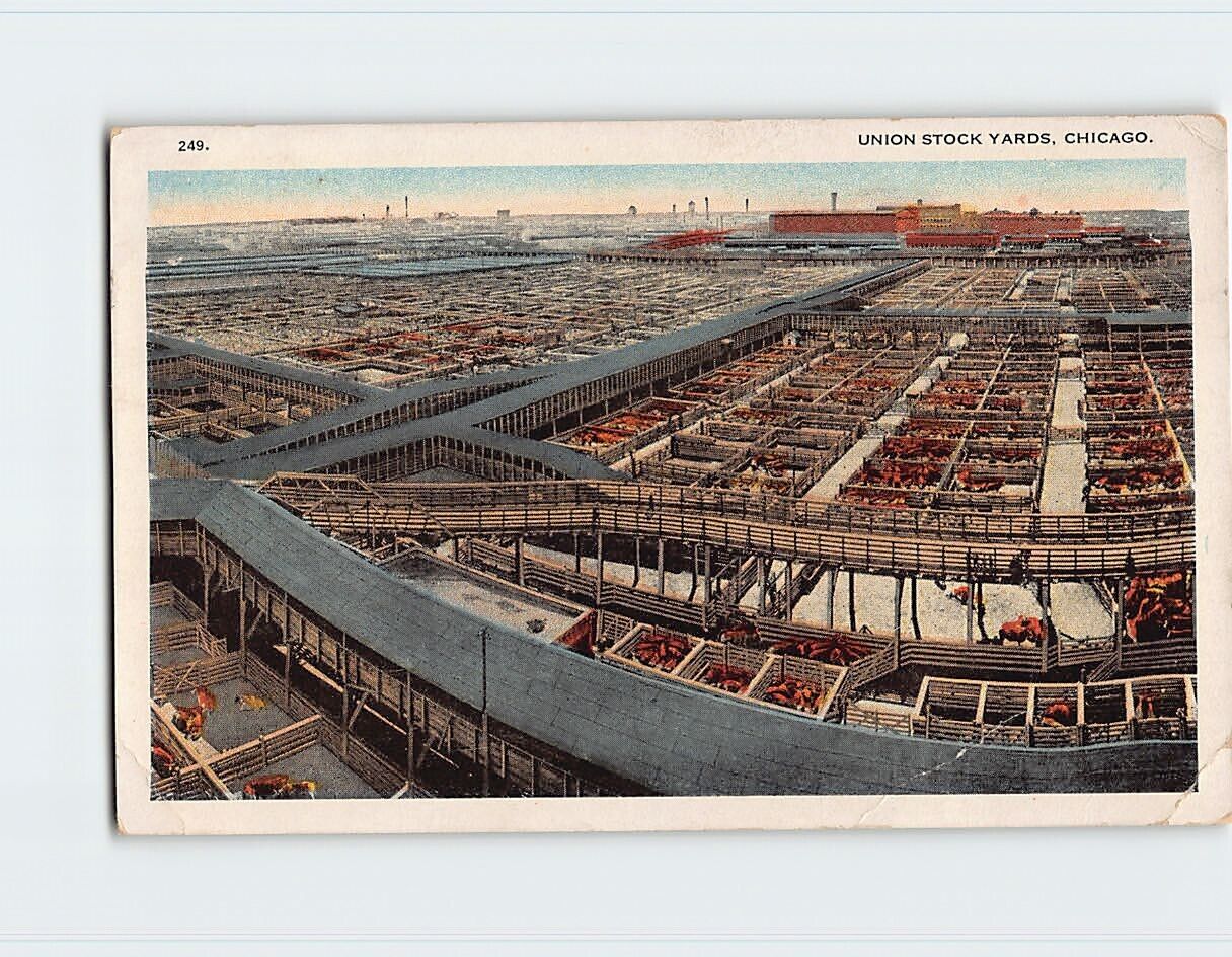 Postcard Union Stock Yards Chicago Illinois USA