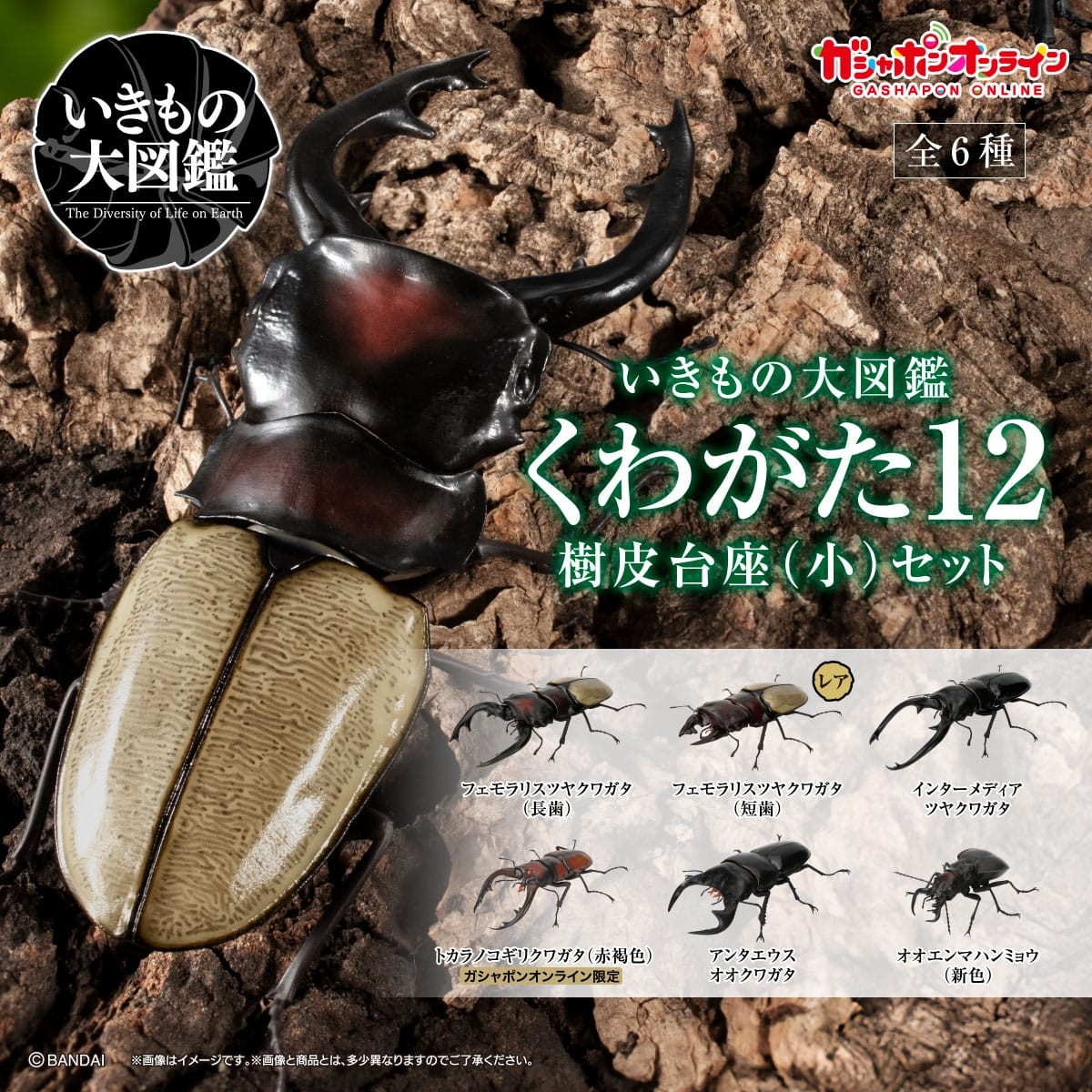 Ikimono Daizukan Stag Beetle 12 Set 6 Bark Stand Exclusive Gashapon Japan NEW
