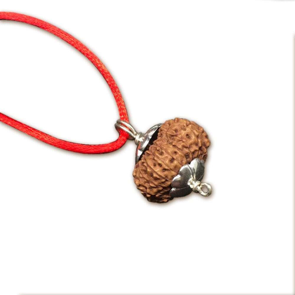 17 Mukhi Indonesian Java Rudraksha Big 18mm-20mm Silver Pendant IGL Certified