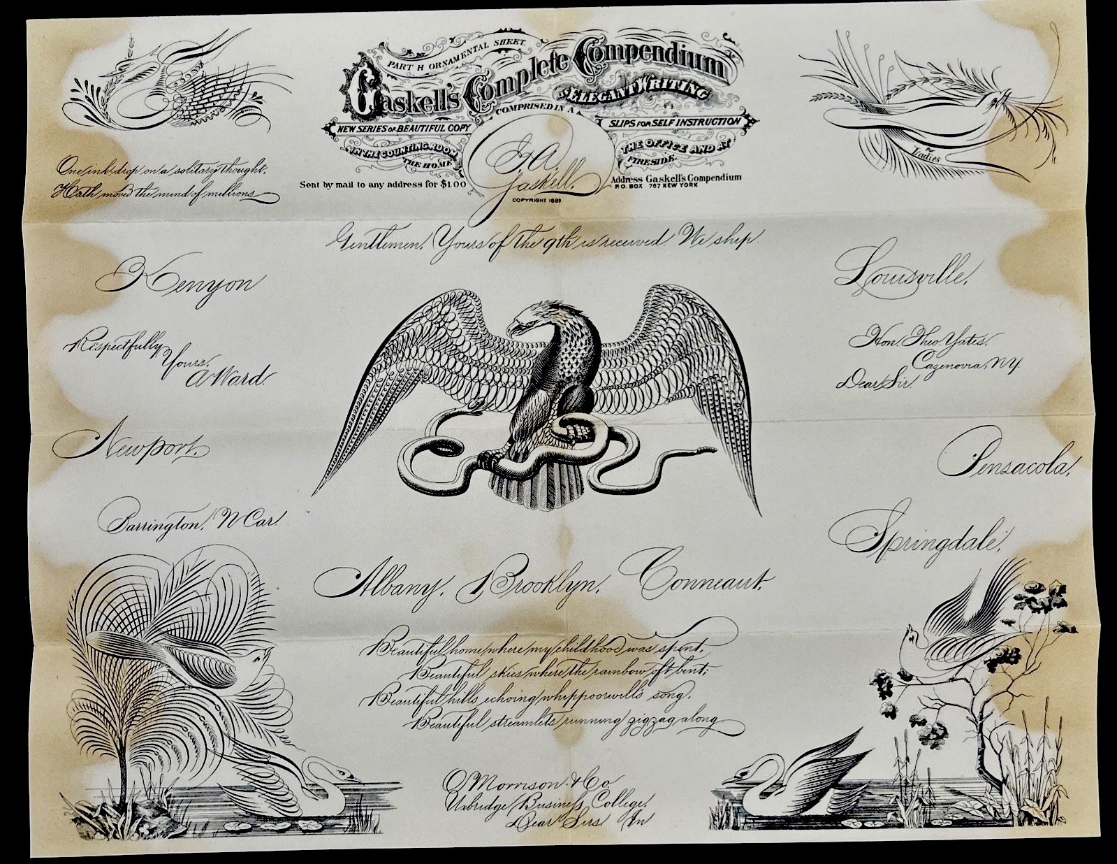 Antige 1880s Gaskell Penmanship Sheet Eagle Flourish 17 “Wide 13 1/2 Inches Tall