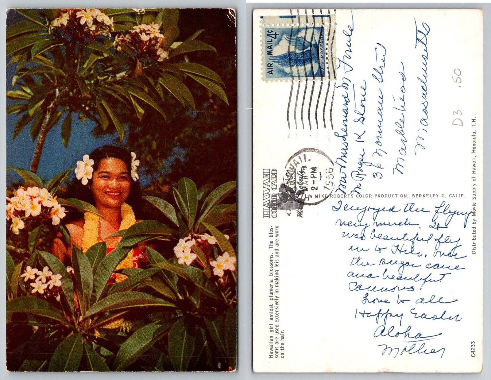 Hawaiian Girl Plumeria Blossoms Hawaii Postcard PB37-K