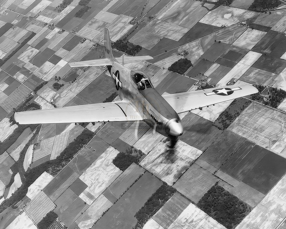 Mustang P-51 Military Fighter Aircraft WWII 8x10 Glossy Photo Print HT4136746