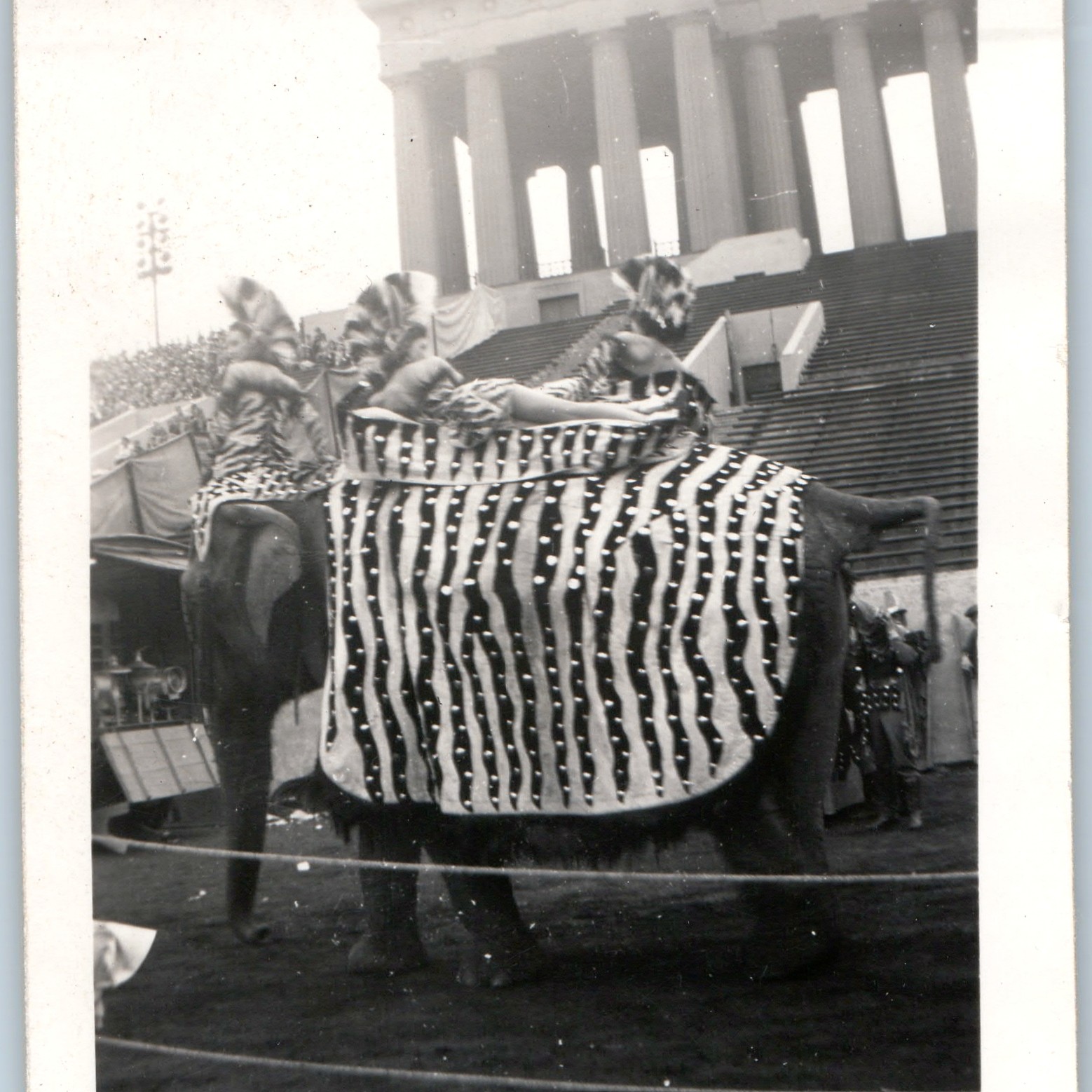 c1940s Chicago, IL Soldier Field Circus Elephant Snapshot Photo Zebra Costume