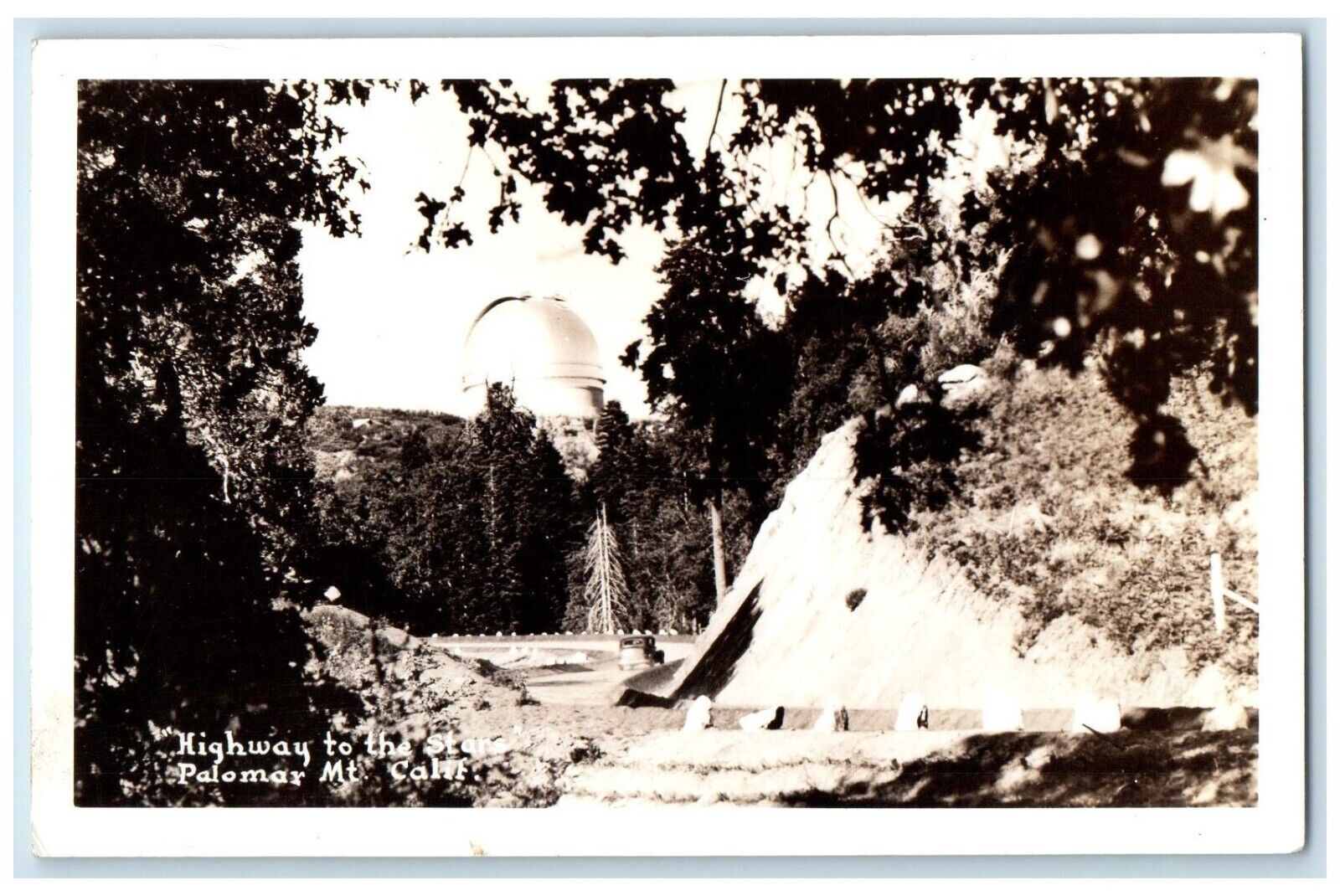 c1940's Highway To The Stars Palomar Mountain California CA RPPC Photo Postcard