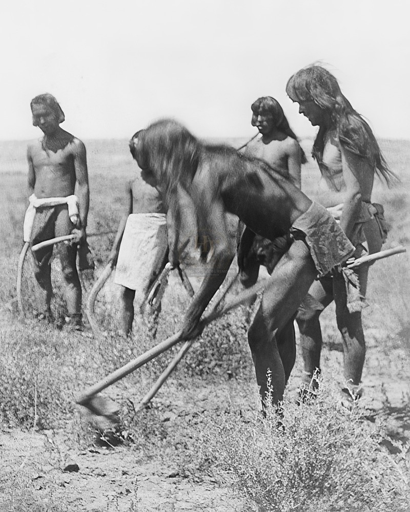 Edward S Curtis Hopi Indians Digging Out Snakes 8x10 Glossy Photo Print HT943549