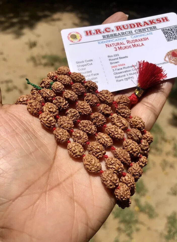 LAB CERTIFIED Rare 3 Mukhi RUDRAKSHA Rudraksh Mala ROSARY 108+1 Prayer Beads