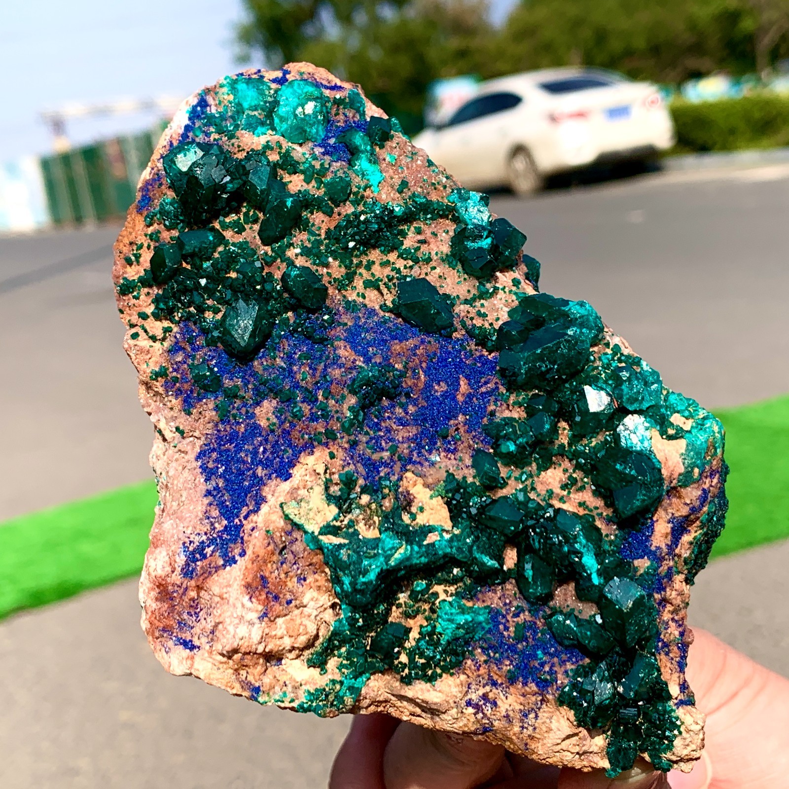 1.55LB Natural green dioptase emerandine+azuritegemstone cluster mineral crystal
