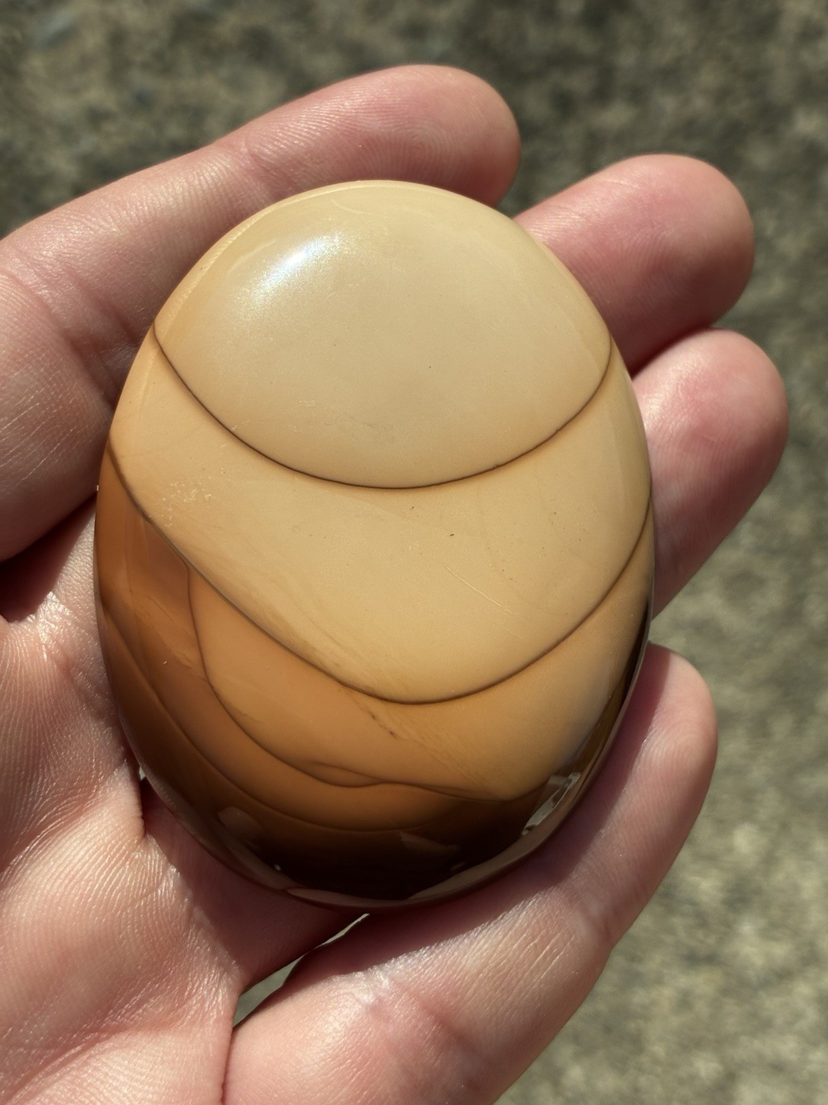 Bruneau Jasper Jumbo cabochon 62 x 47 mm - Wt. 33 gr. OLD STOCK Rock Shop Estate