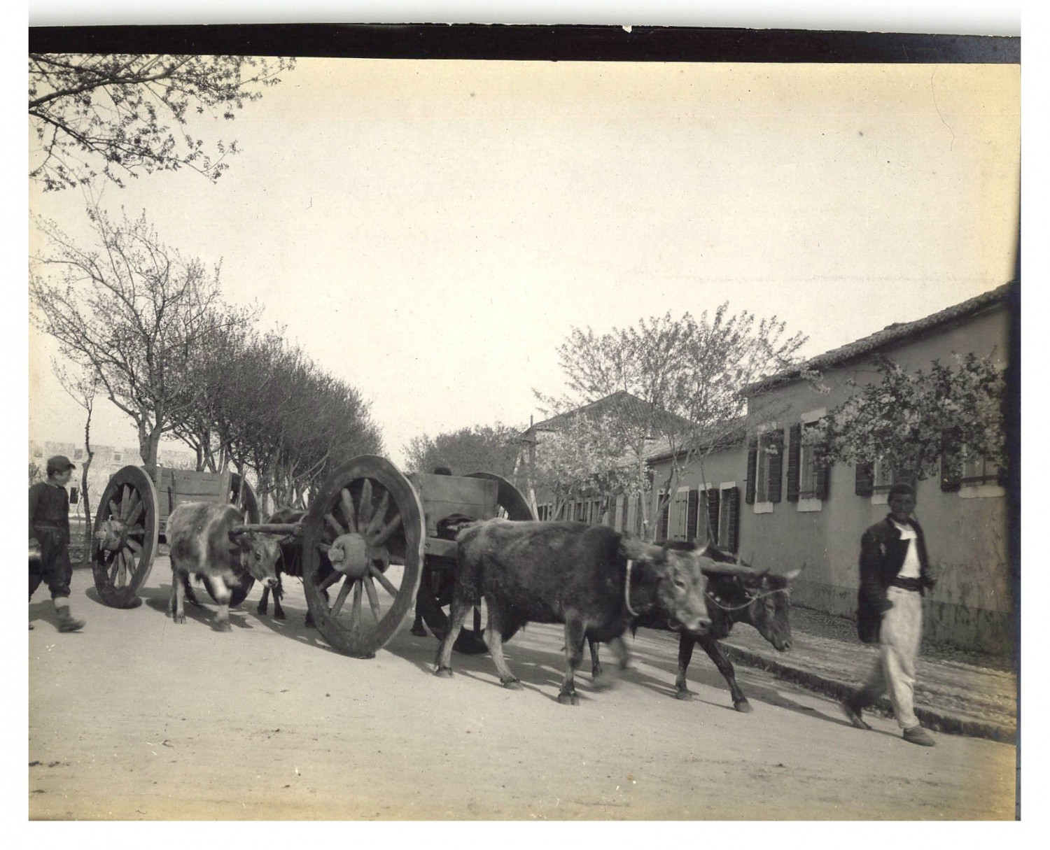 Montenegro, Podgorica, Street scene, farmers Original vintage print. print Montenegro, Podgorica, Street scene, farmers Original vintage print. print