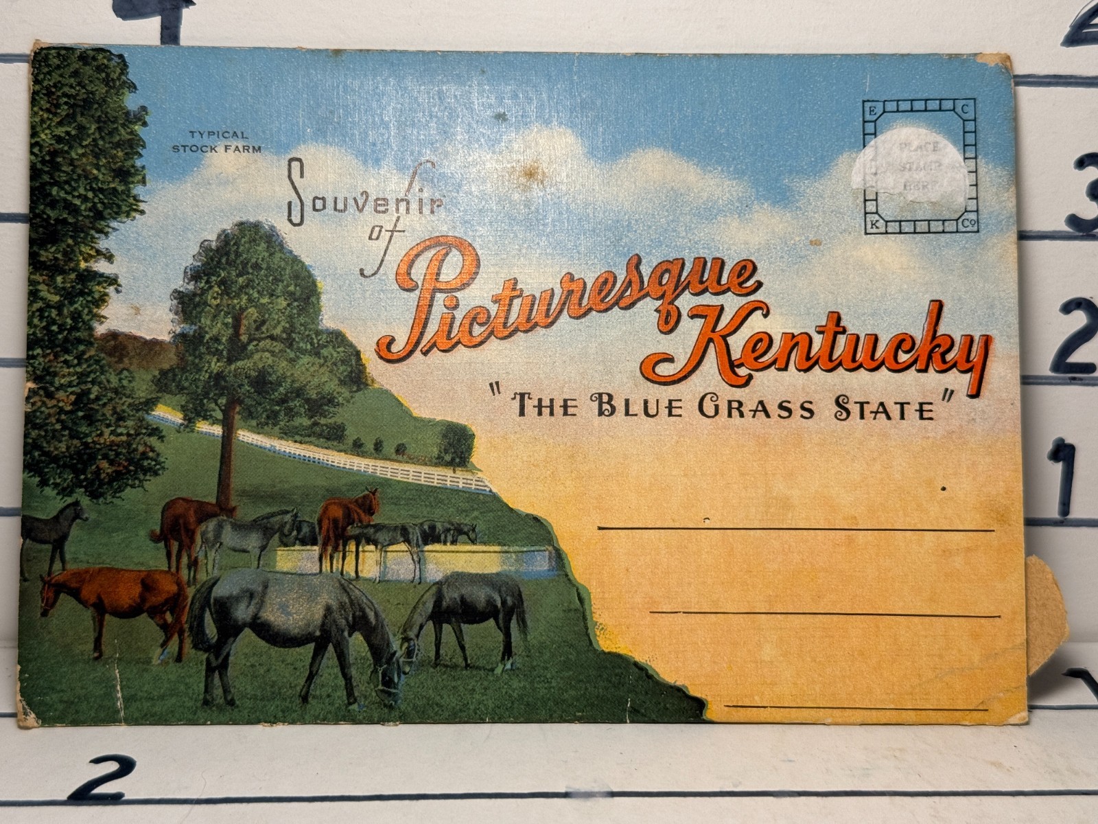 Vintage Picturesque Kentucky the Blue Grass State Souvenir front and back READ Vintage Picturesque Kentucky the Blue Grass State Souvenir front and back READ