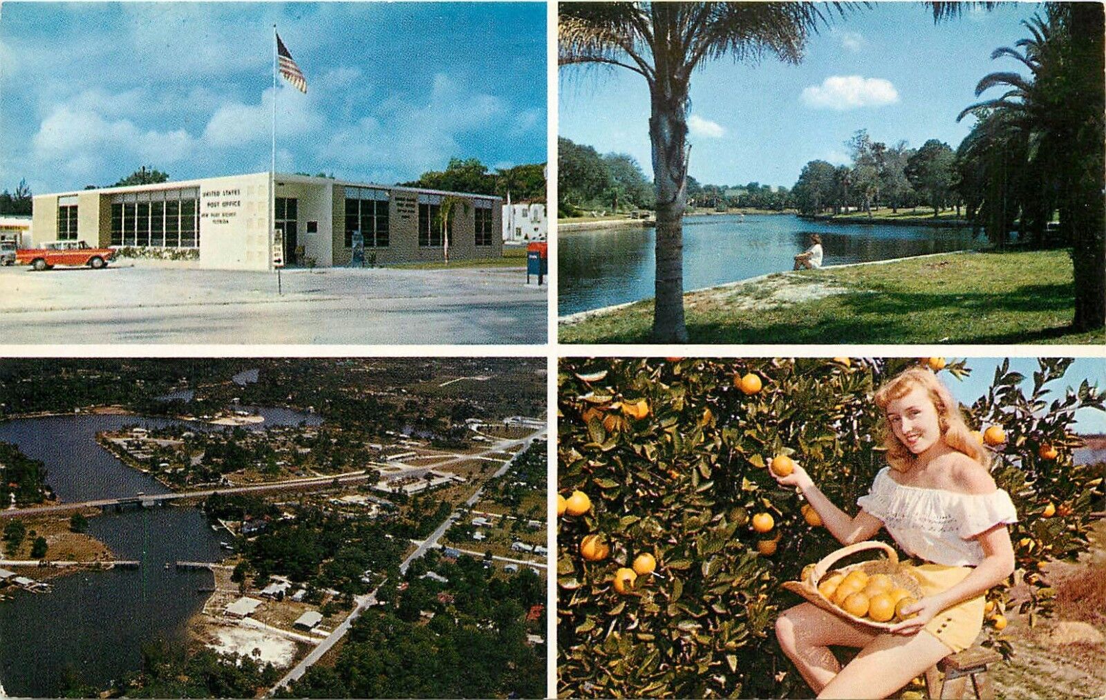 New Port Richey Florida FL Post Office Pithlachasotee River woman Postcard