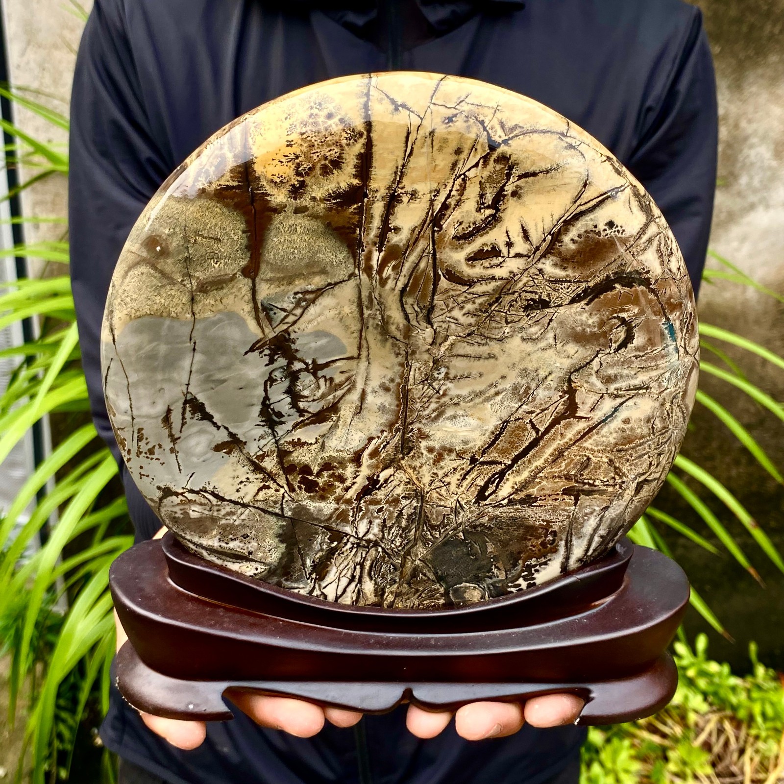 4.36LB Beautiful Natural Chinese Dendritic Limestone Picture Stone Guohua -Rare