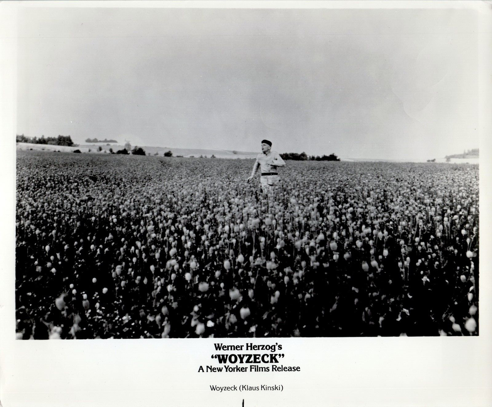 Werner Herzog\'s Woyzeck New Yorker Films Klaus Kinski Movie Photo Press Flat
