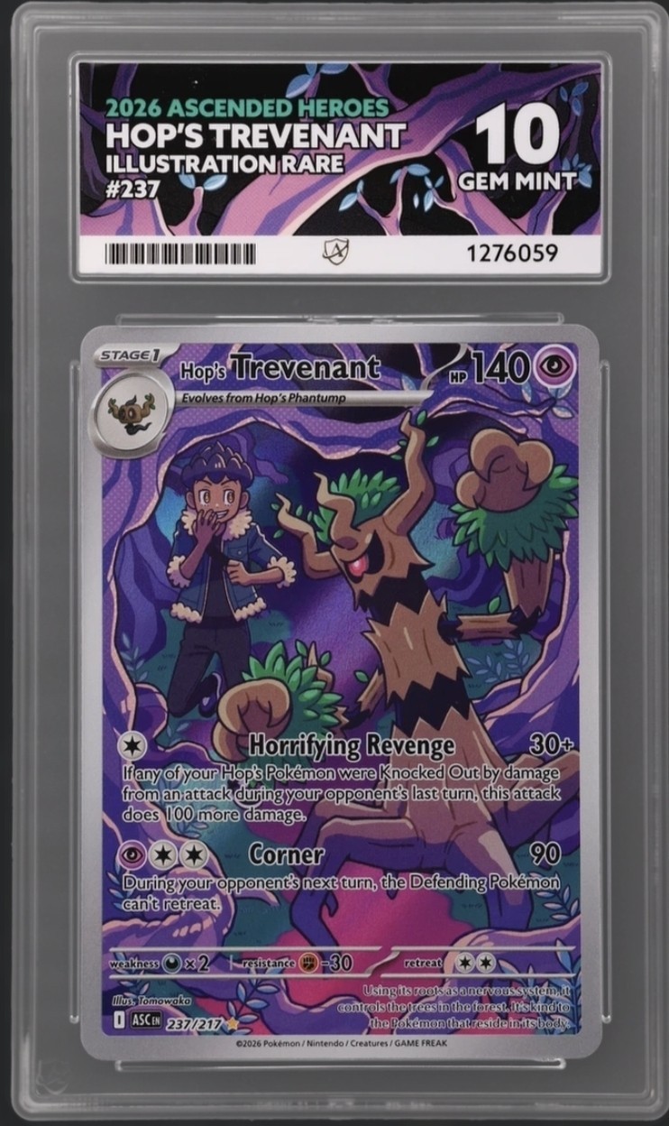 ACE 10   - Hop's Trevenant - 237/217 - Ascended Heroes - Pokemon