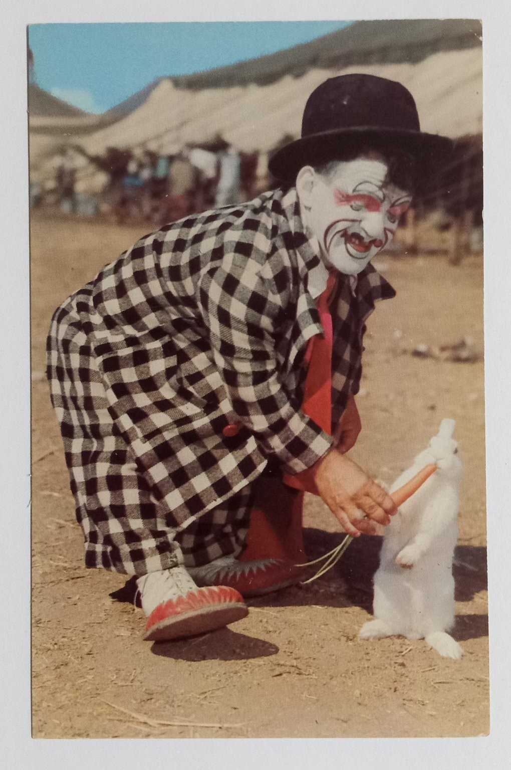 Frankie Saluto Clown Feeding Rabbit Postcard w/ Autograph Ringling Bros