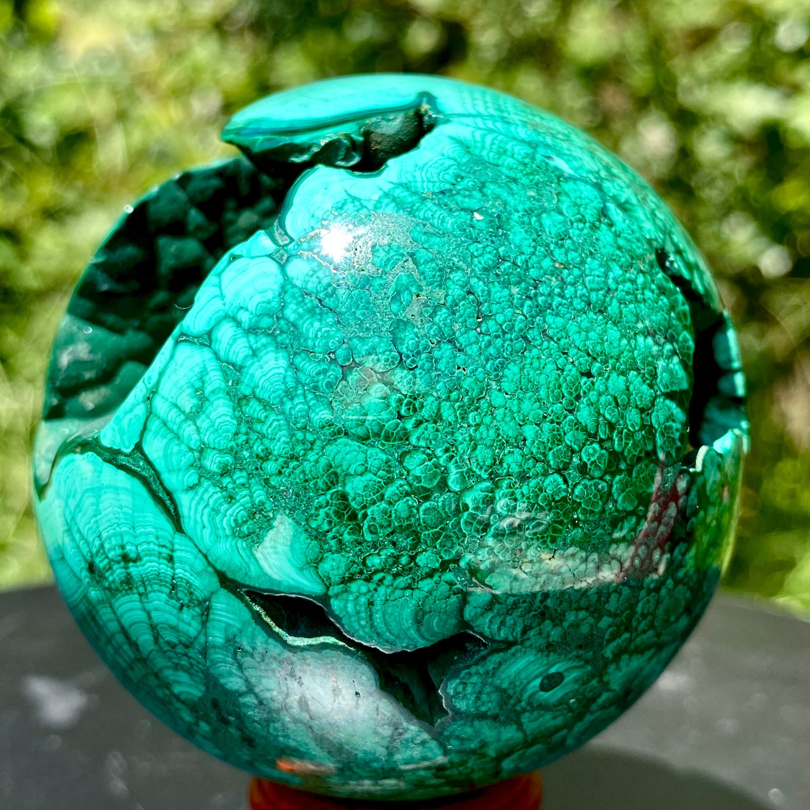 383G  Natural Malachite Geode Sphere Druzy Cave Crystal Ball Healing Mineral Spe