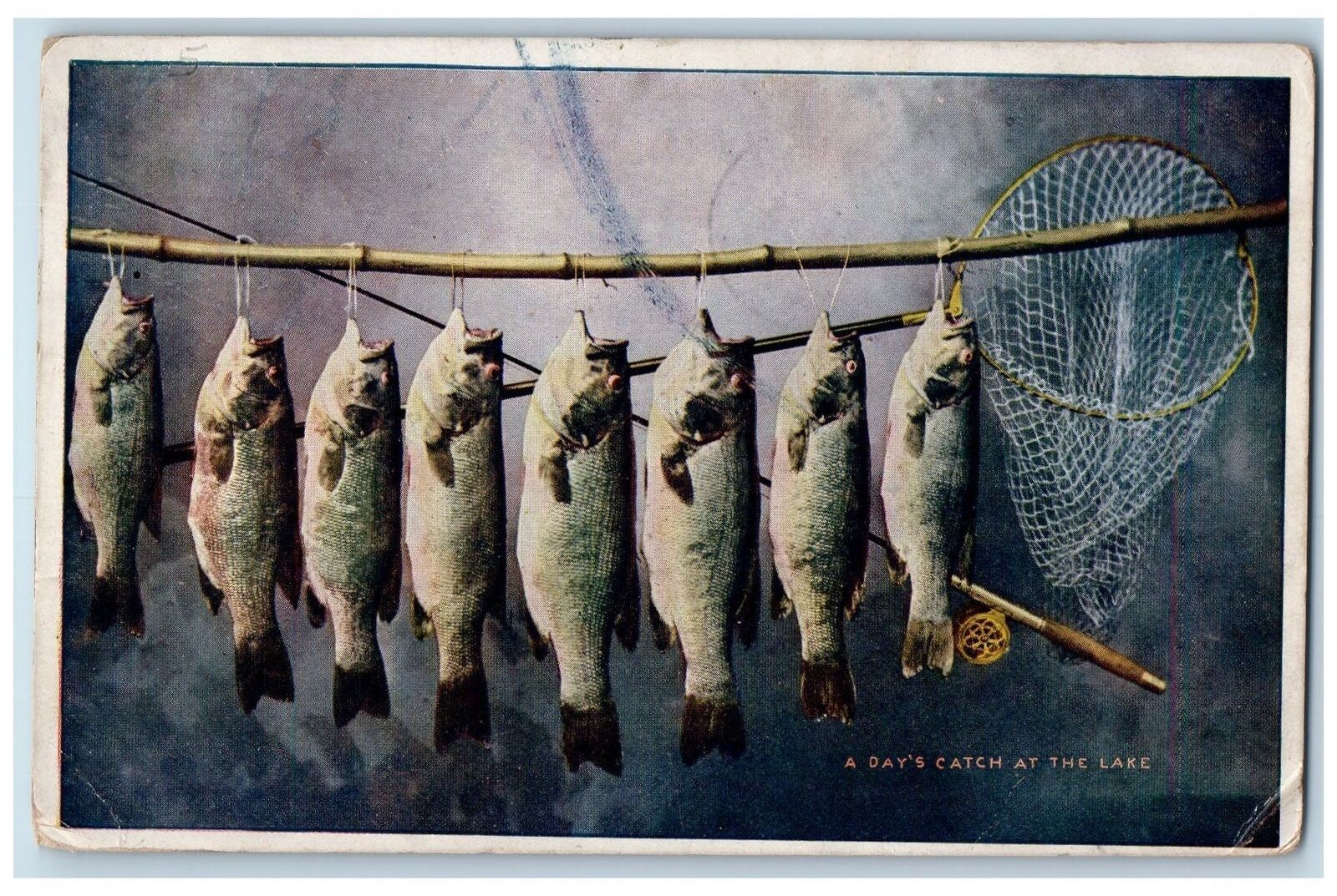 1911 A Day\'s Catch At The Lake Petoskey Michigan MI Posted Vintage Postcard