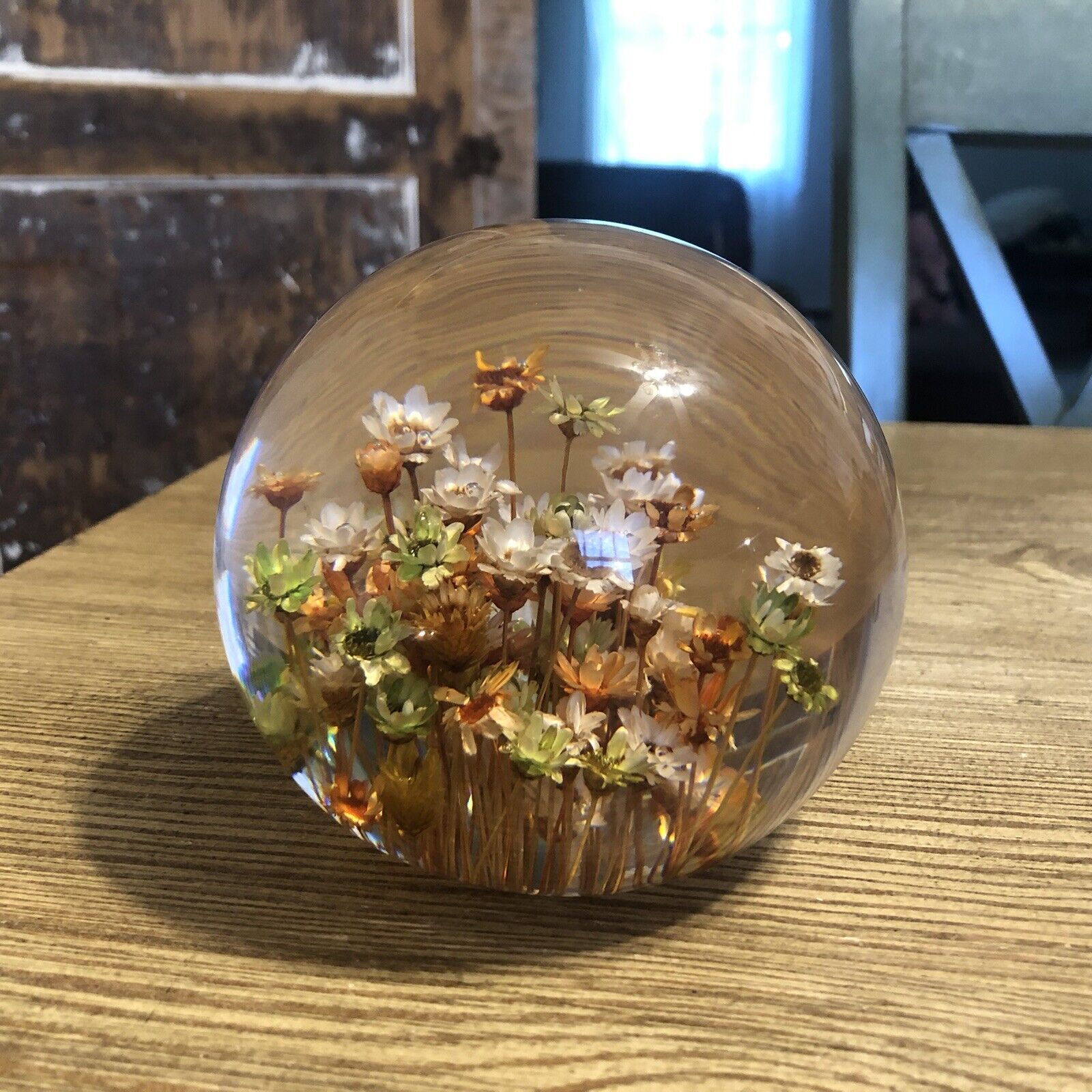 Vintage Daisyglass Co. 1960s Floral Paperweight Real Wildflowers Glass Round.