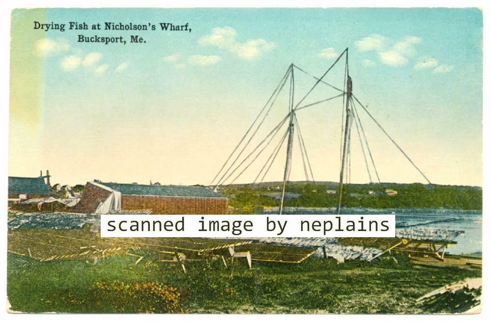Bucksport, Maine - Drying Fish at Nicholsons Wharf - ca.1910