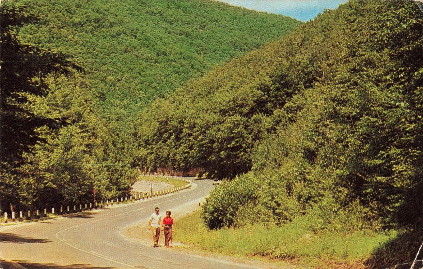 Massachusetts MA, Berkshire Hills, Mohawk Trail Curve of Beauty Vintage Postcard