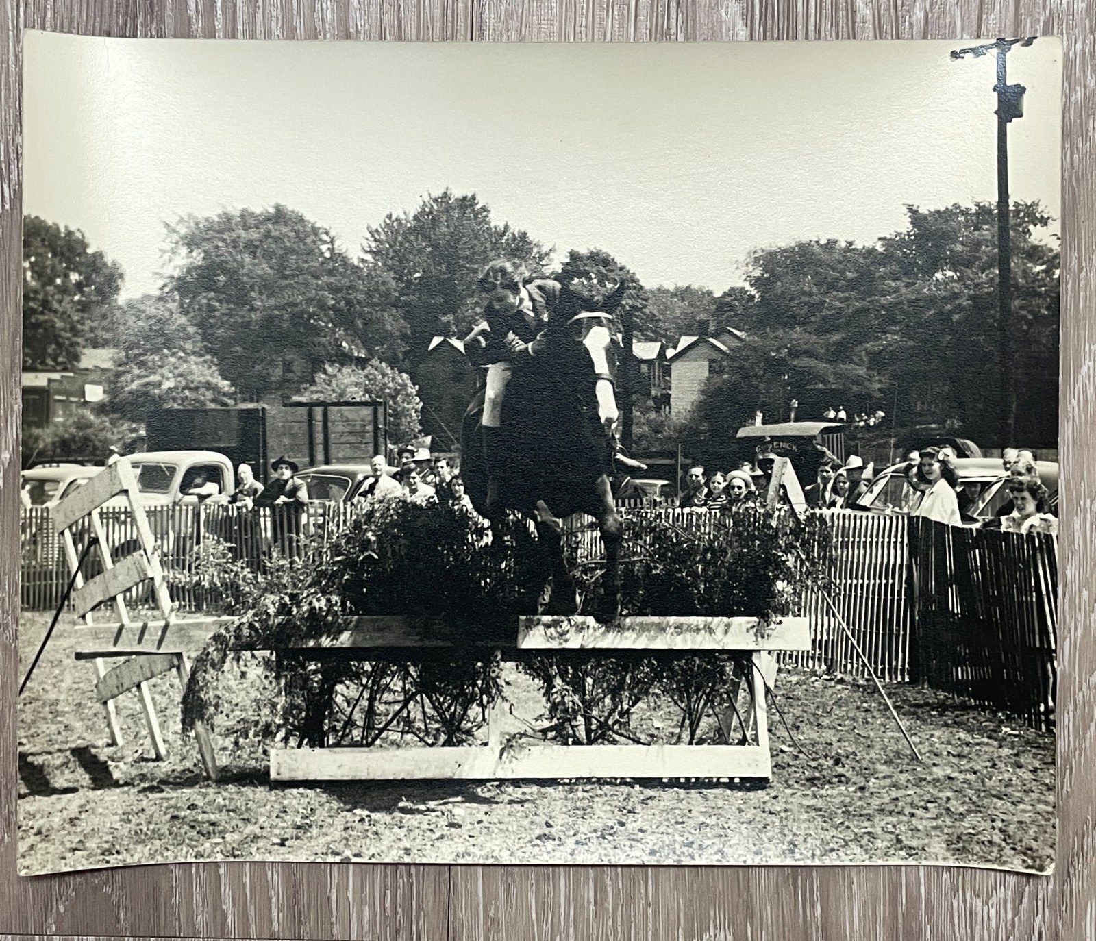 Vintage 1940s Horse Jumping Show Photo Equestrian Rider Antique Cars 8x10 BW