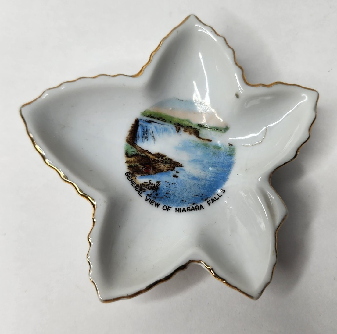 Vintage Niagara Falls Souvenir Leaf Dish - General View - Made in Japan [READ]
