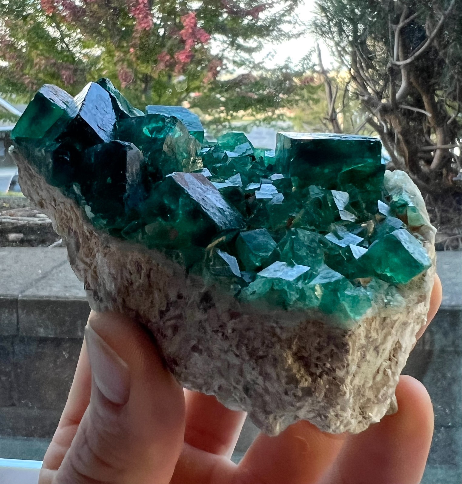 Green-Blueish Cubic Fluorite Crystal Specimen - 319g - Hunan Prov., China Green-Blueish Cubic Fluorite Crystal Specimen - 319g - Hunan Prov., China
