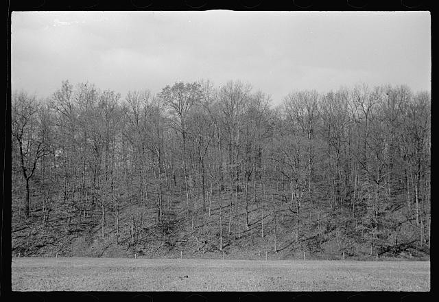 Photo:Morgan County Indiana 1935 Resettlement Area Woodland Hills