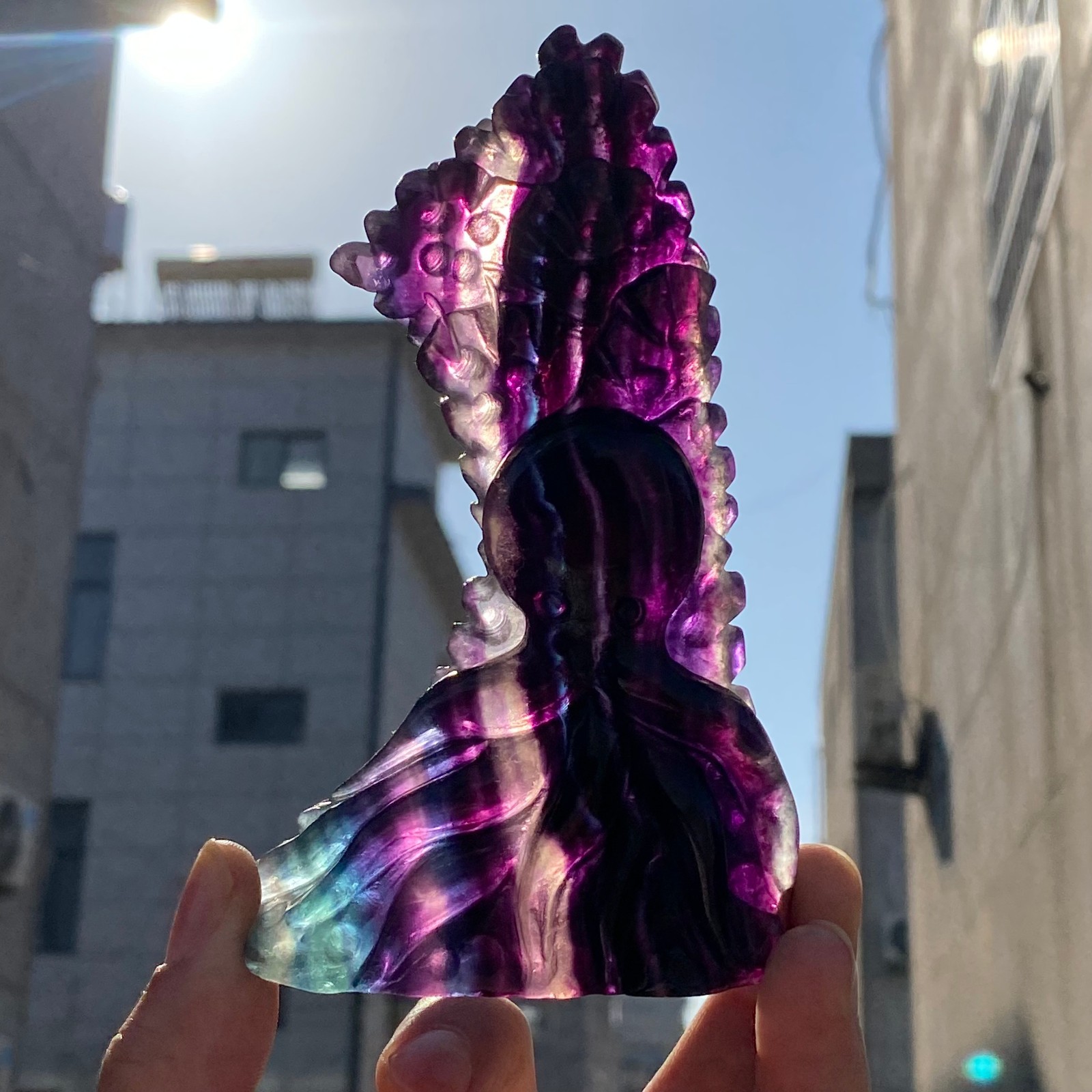 230g Rare Beautiful Colours Fluorite crystal Carving Fish Sculpture Healing