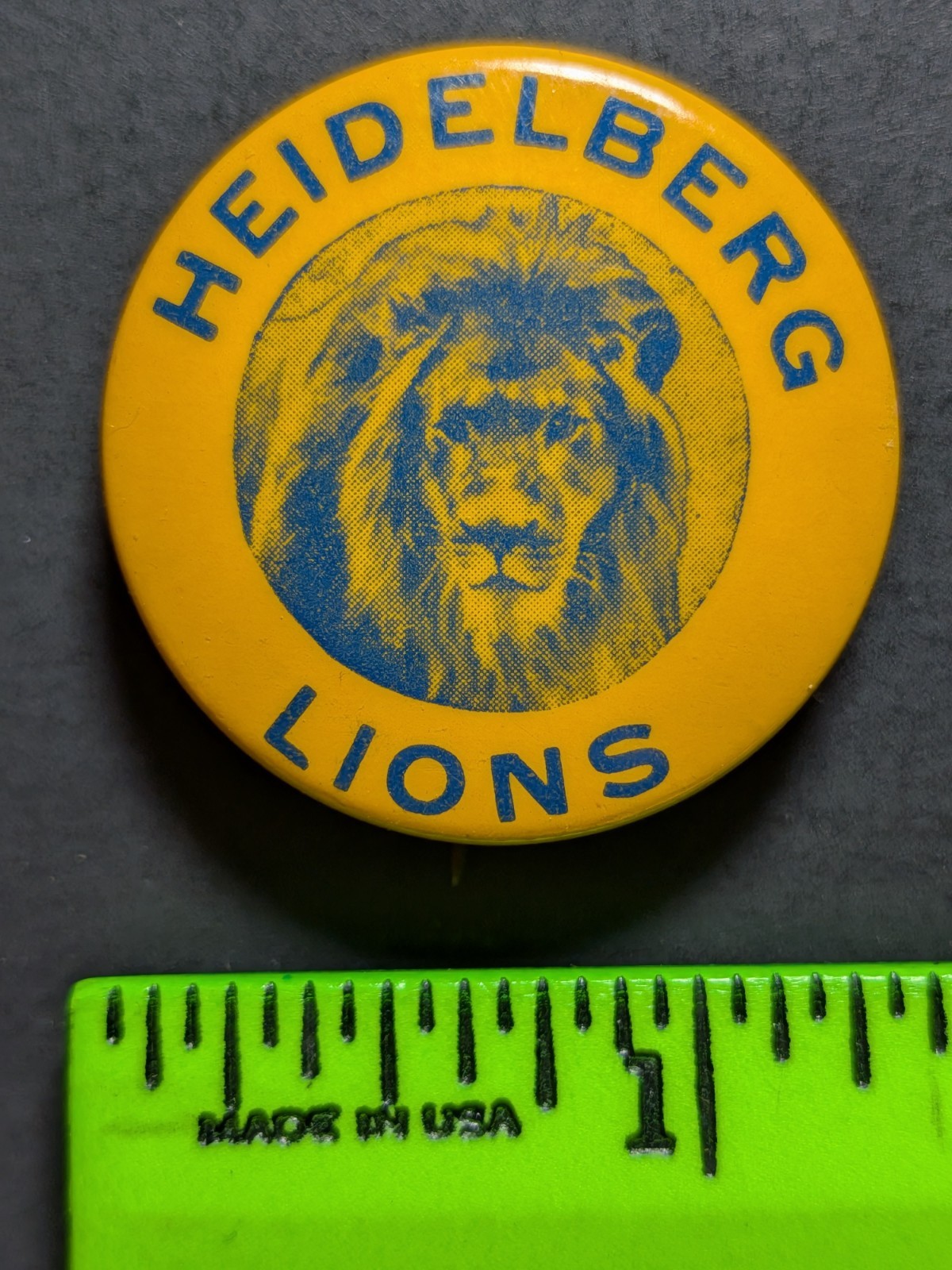 Vintage Heidelberg University Lions Pinback Pin