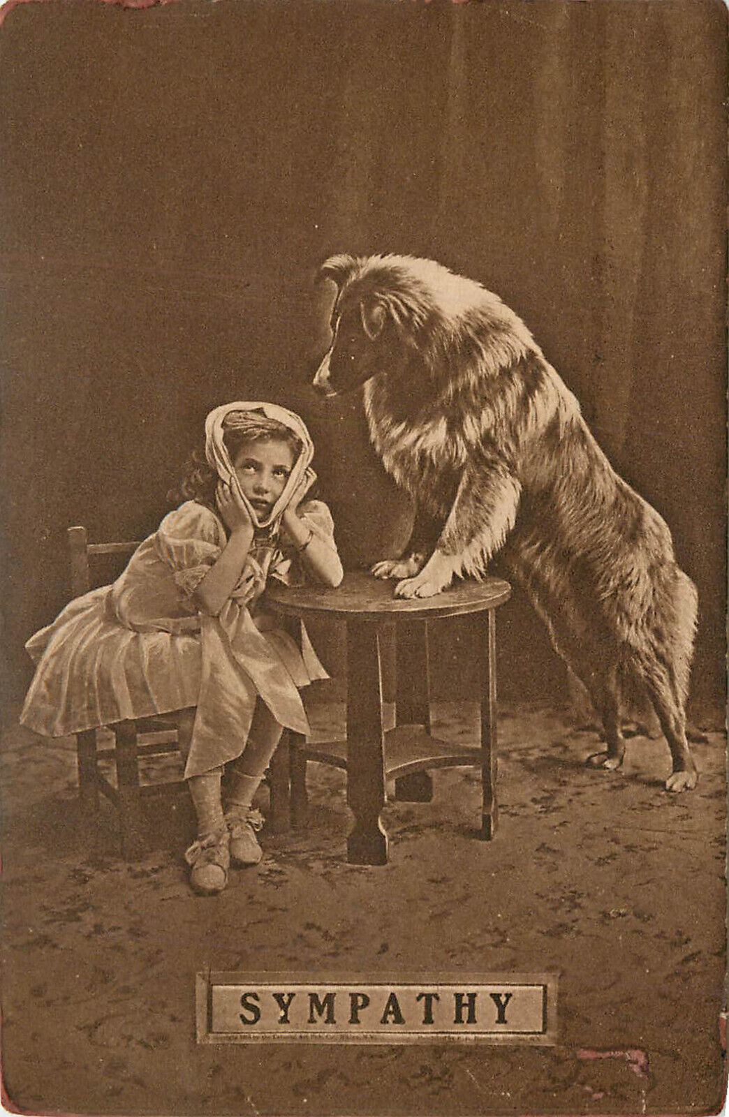 Rough Coat Border Collie Watches Over Girl With Toothache Sympathy Postcard Dog