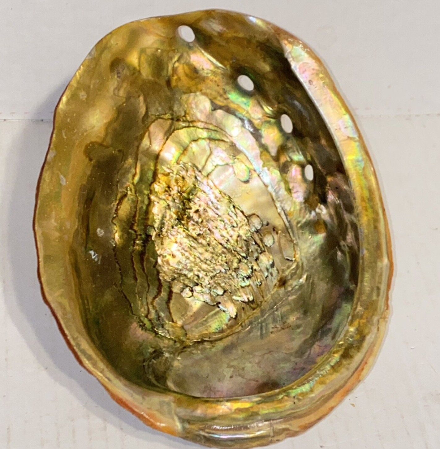 Vintage Large Red Abalone Shell Dish Gold Rainbow Iridescence Smudge Pot  Decor