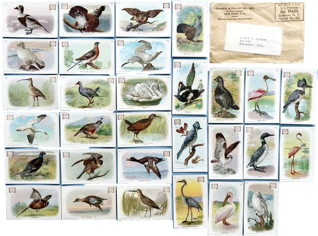 1908 J4 New Series of Birds, Dwight\'s Soda Logo, Complete W/ Original Mailer