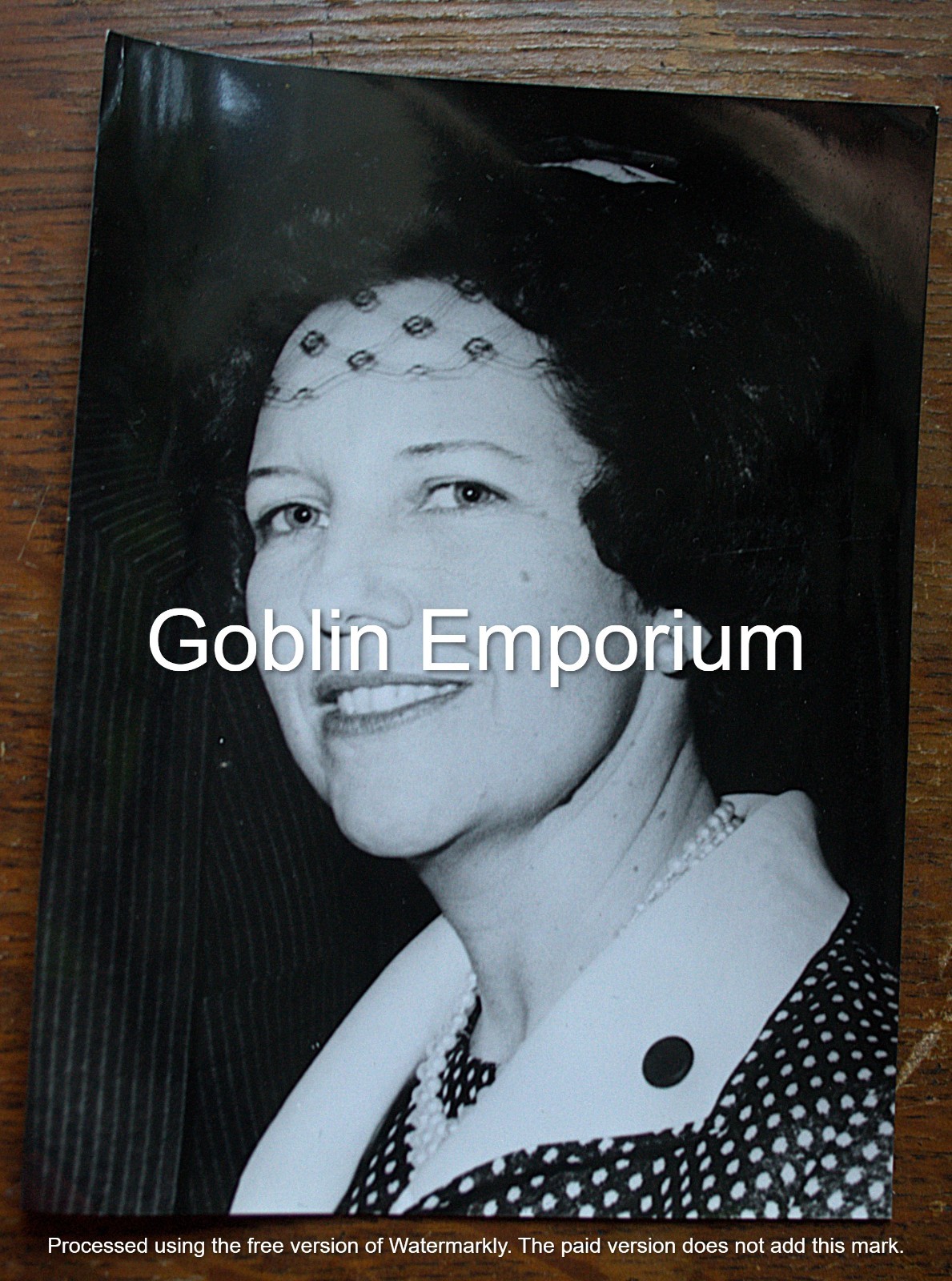 Original Press Photograph of Archduchess Yolande de Ligne of Austria