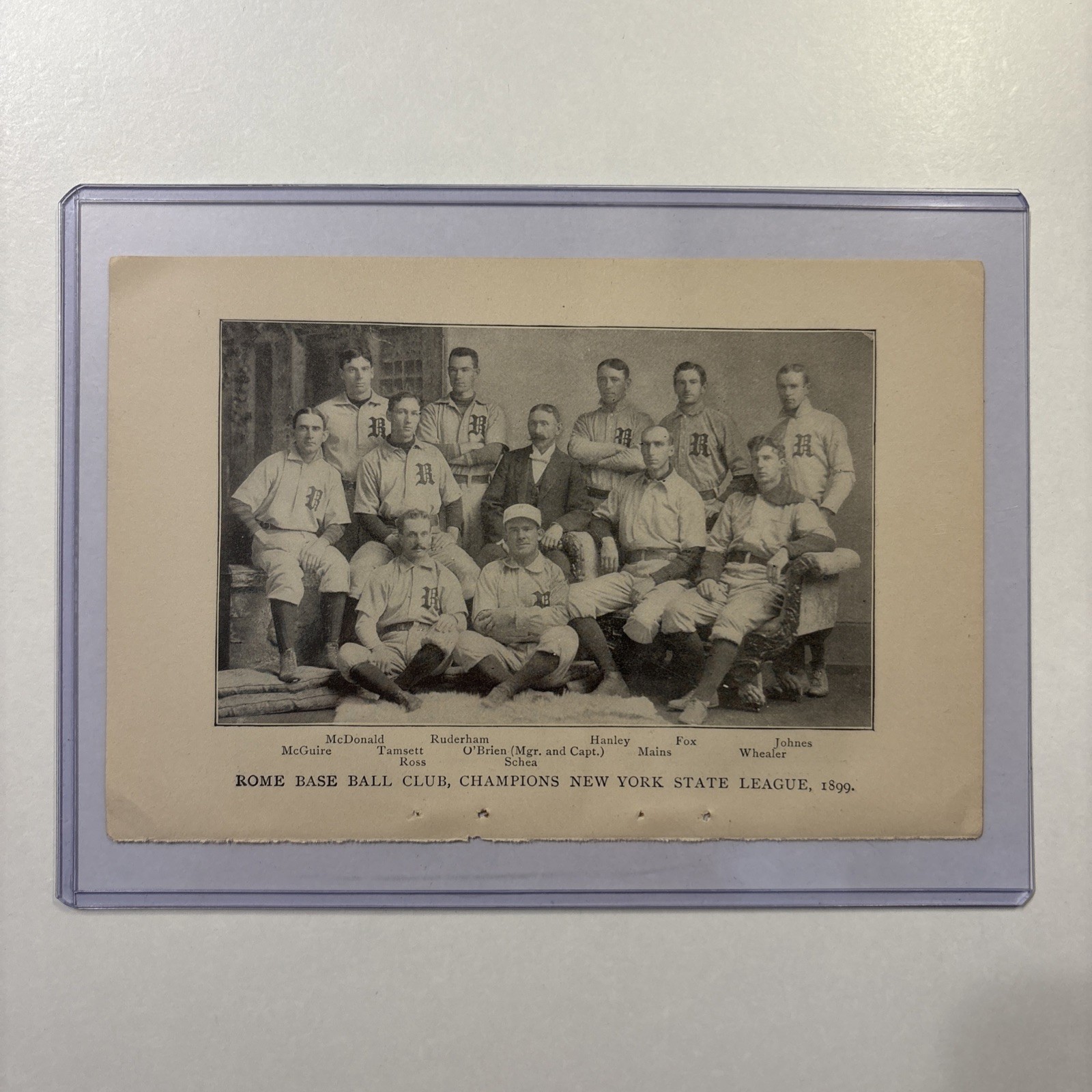 1899 Rome & Rochester NY New York State Lg Baseball Team Pictures Rare Antique