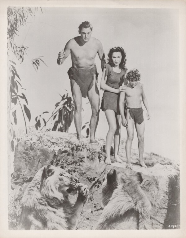 Tarzan's Secret Treasure vintage 8x10 inch photo on fiber paper Weissmuller lion