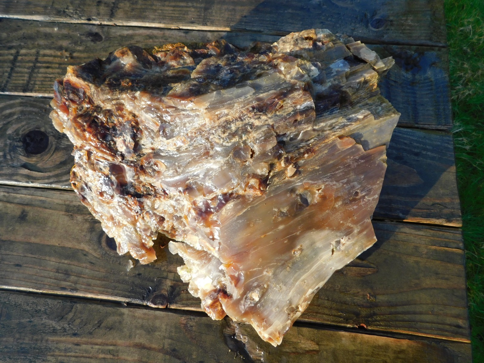 Excellent Large Agate Limb Cast 35 lbs Central WA Vintage