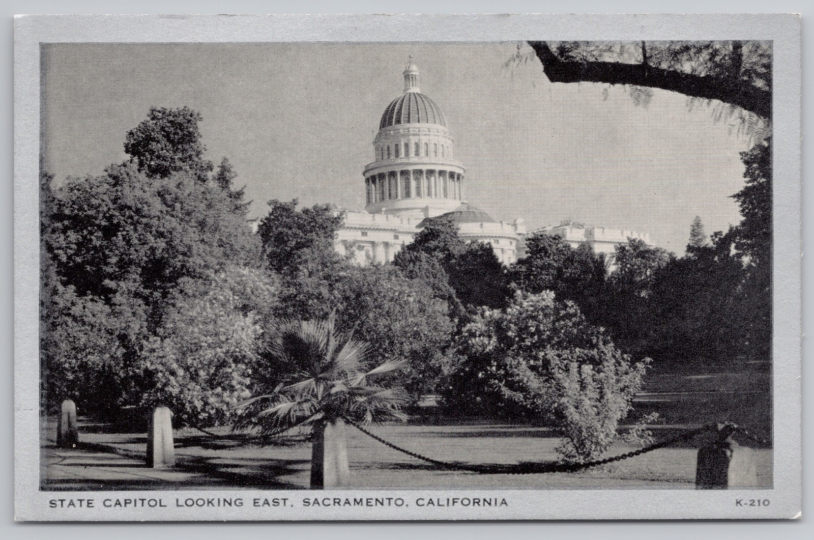 Vintage Sacramento CA Postcard State Capitol Looking East Wayne Paper Box RPPC