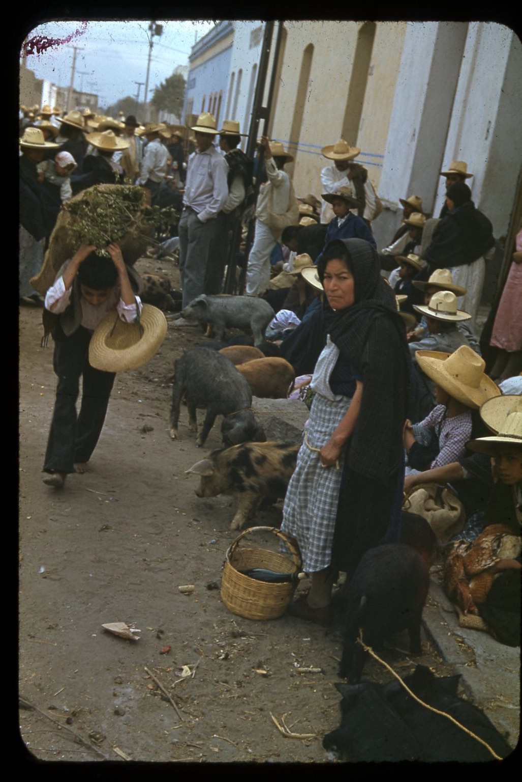 Sl44 Slide 1940’s  Mexico Market Scene pigs 731a