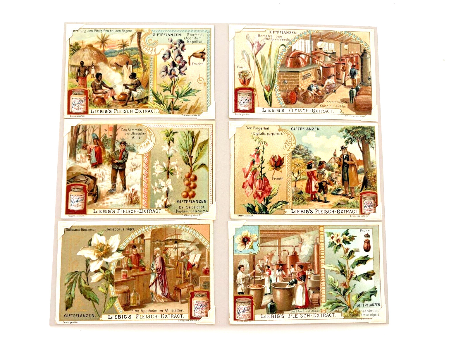 Great German Victorian Trade Cards \