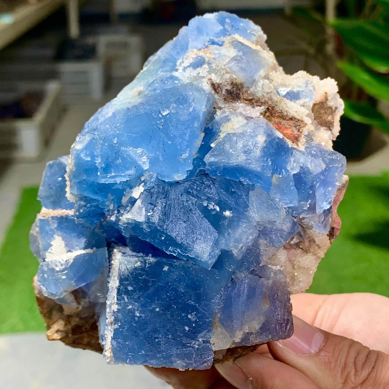 1.85LB Natural crystal Rare transparent blue green fluorite cubic sample