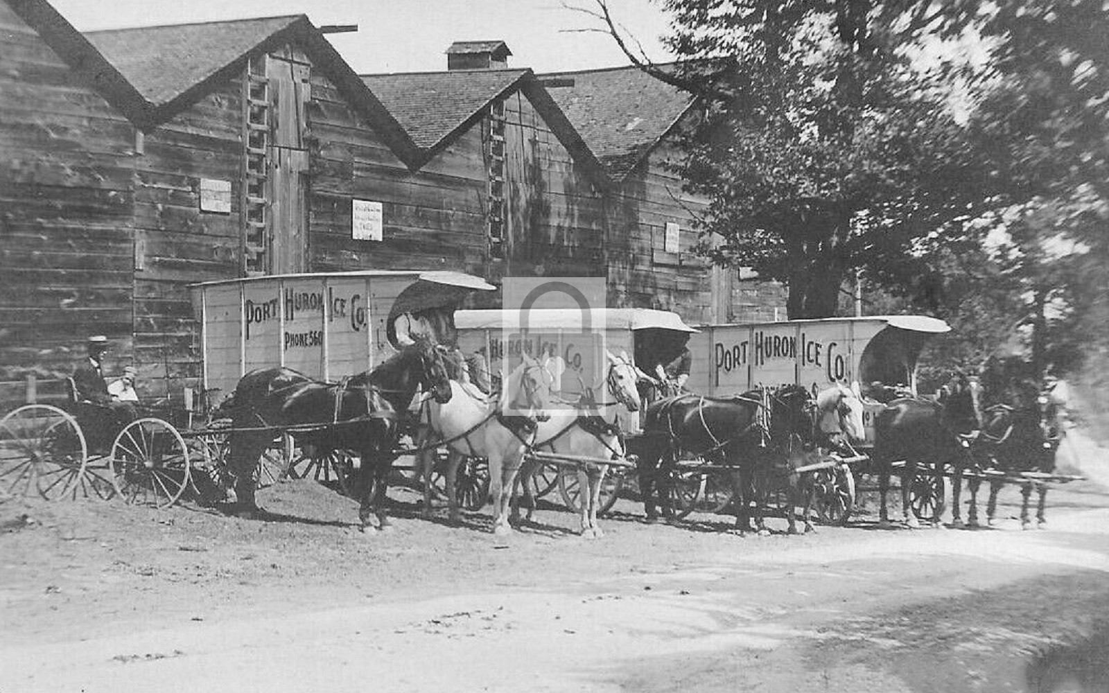 Port Huron Ice Company Horse Drawn Delivery Wagons Michigan MI - Reprint