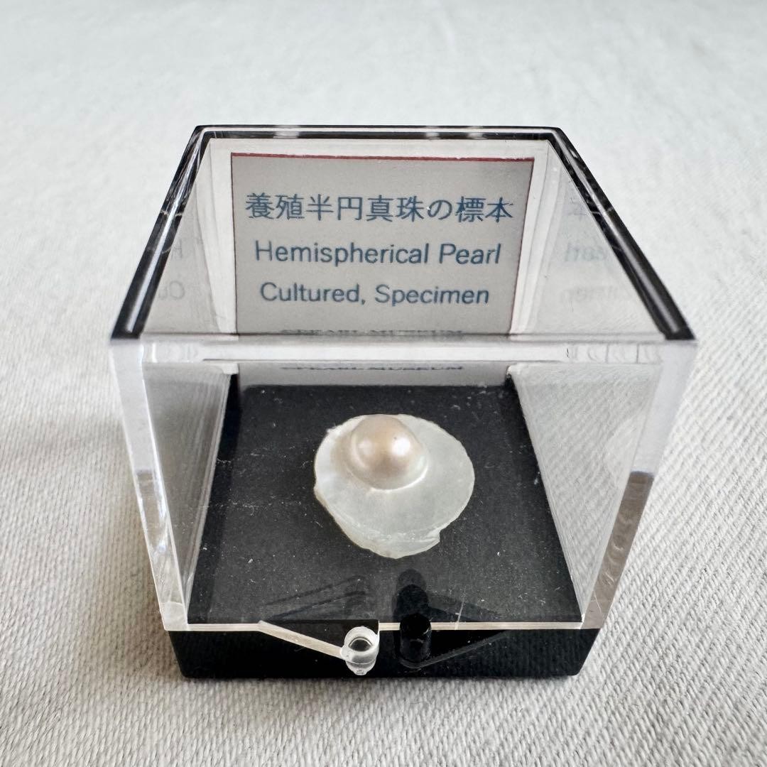 Rare Vintage Mikimoto Pearl Island Specimen of a Cultured Semi-Spherical Pearl